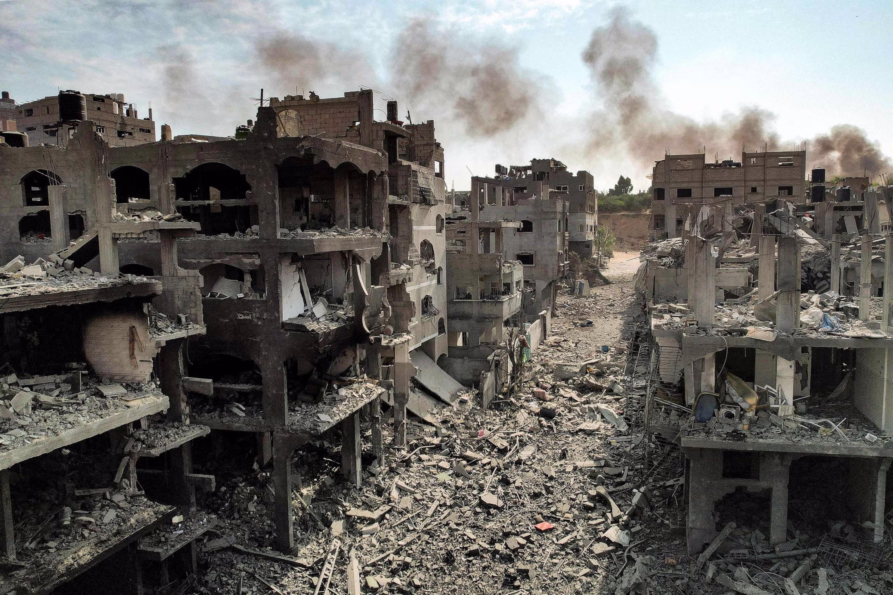 Palestine Solidarity